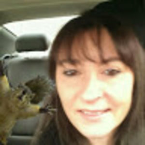 Meet your Posher, Jill